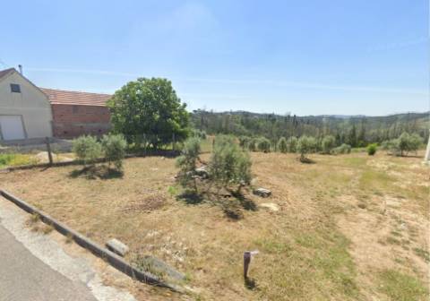 Terreno / Farraposa / Colmeias / Leiria