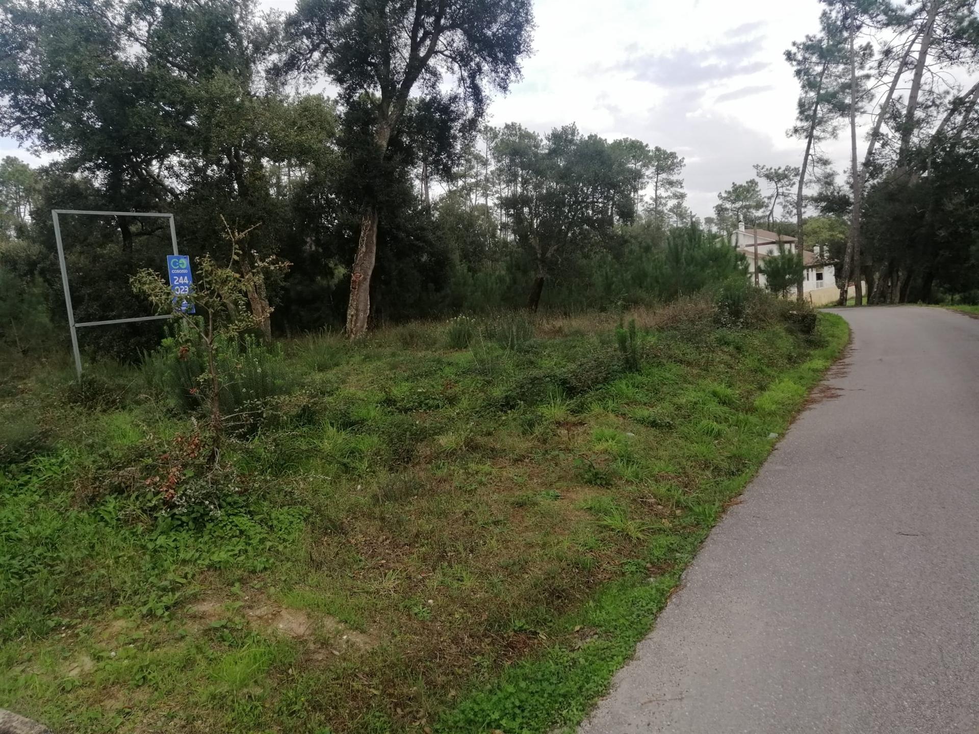 Terreno plano para construção / 2170 m2 / Segodim / Leiria