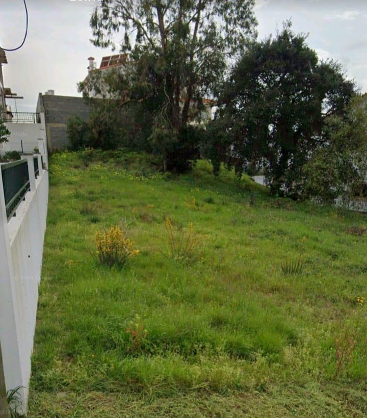 Terreno para construção / S.Romão / Leiria