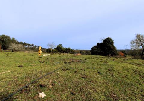 Quinta / Herdade / Terreno / Souto da Carpalhosa