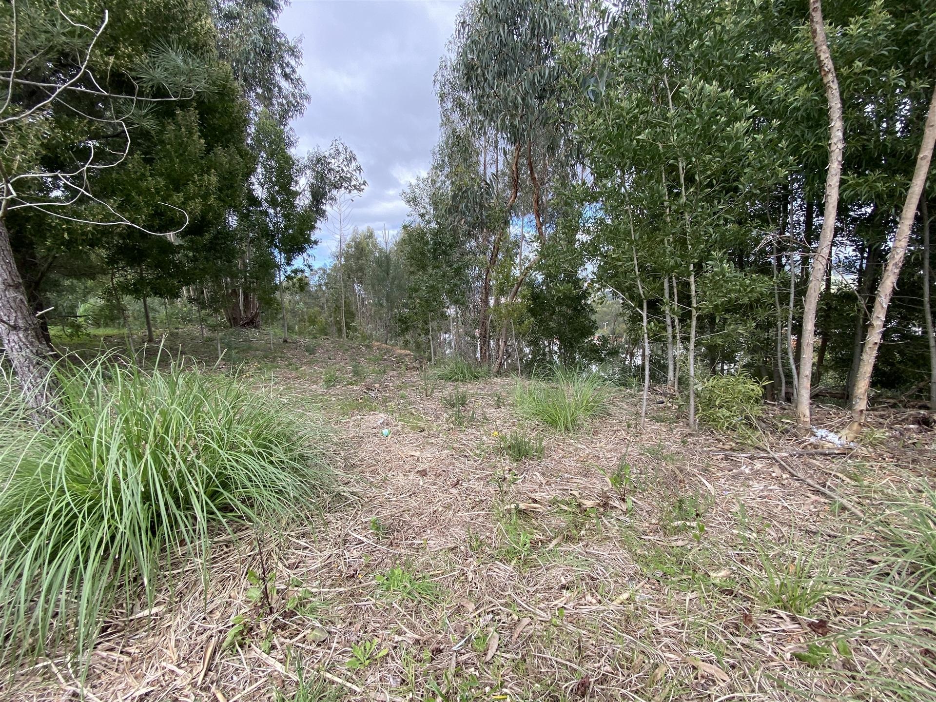 Terreno  Venda em Leiria, Pousos, Barreira e Cortes,Leiria