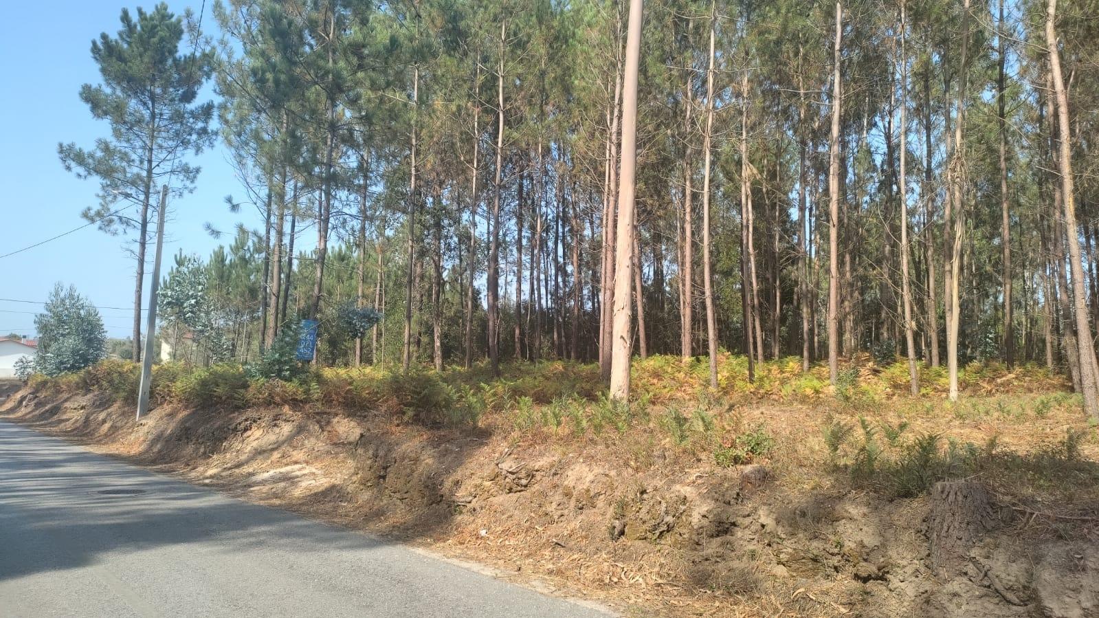 Terreno / Construção / Bidoeira de Baixo / Leiria