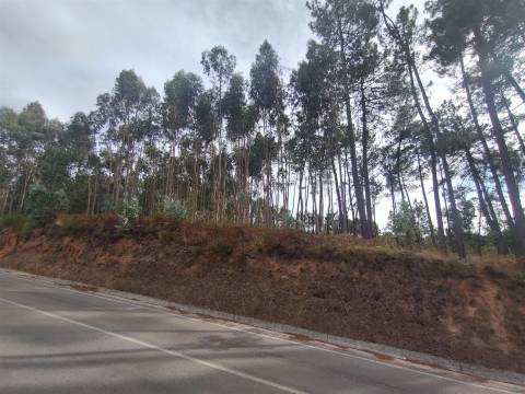 Terreno / Construção / Lameiras / Caranguejeira