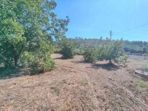 Moradia / Terreno / Poço / Colmeias / Leiria