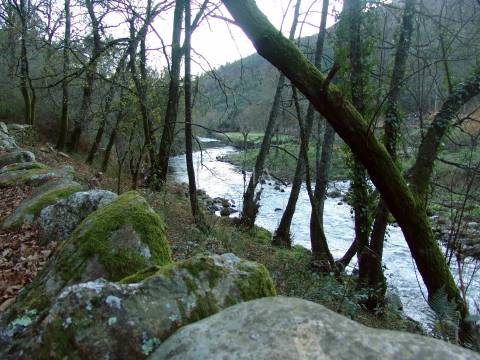 Terreno em Valongo