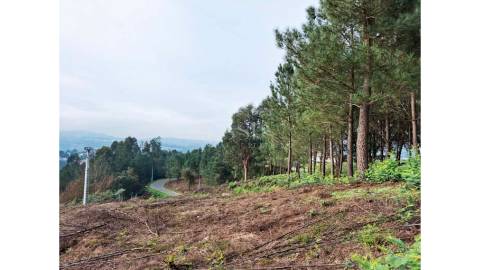 Terreno em Zona Nobre de Amarante com PIP Aprovado para 59 Apartamentos