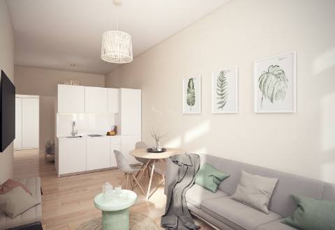 Apartamento T0 com jardim privativo em Paranhos ( licenciado para serviços )