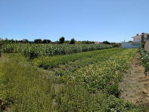 Terreno p/ Construção de Moradia Isolada Térrea - São Bernardo
