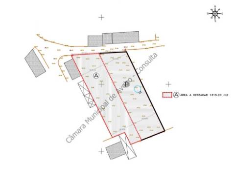 Terreno p/ Construção de Moradia Isolada Térrea - São Bernardo