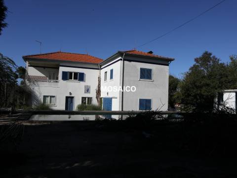Terreno  Venda em Grijó e Sermonde,Vila Nova de Gaia