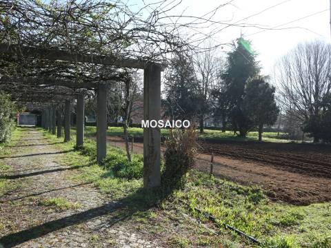 Terreno  Venda em Grijó e Sermonde,Vila Nova de Gaia