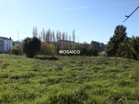 Terreno  Venda em Grijó e Sermonde,Vila Nova de Gaia