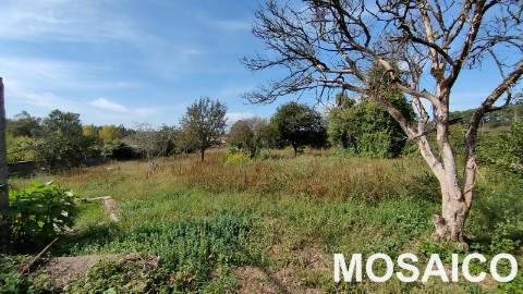 Moradia Rústica T3 DUPLEX Venda em Grijó e Sermonde,Vila Nova de Gaia