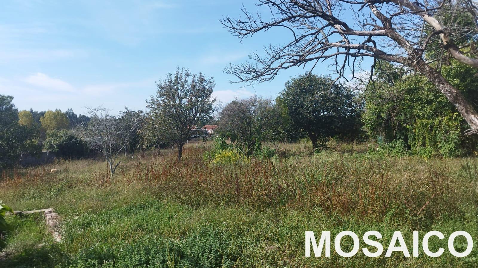 Moradia Rústica T3 DUPLEX Venda em Grijó e Sermonde,Vila Nova de Gaia
