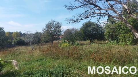 Moradia Rústica T3 DUPLEX Venda em Grijó e Sermonde,Vila Nova de Gaia