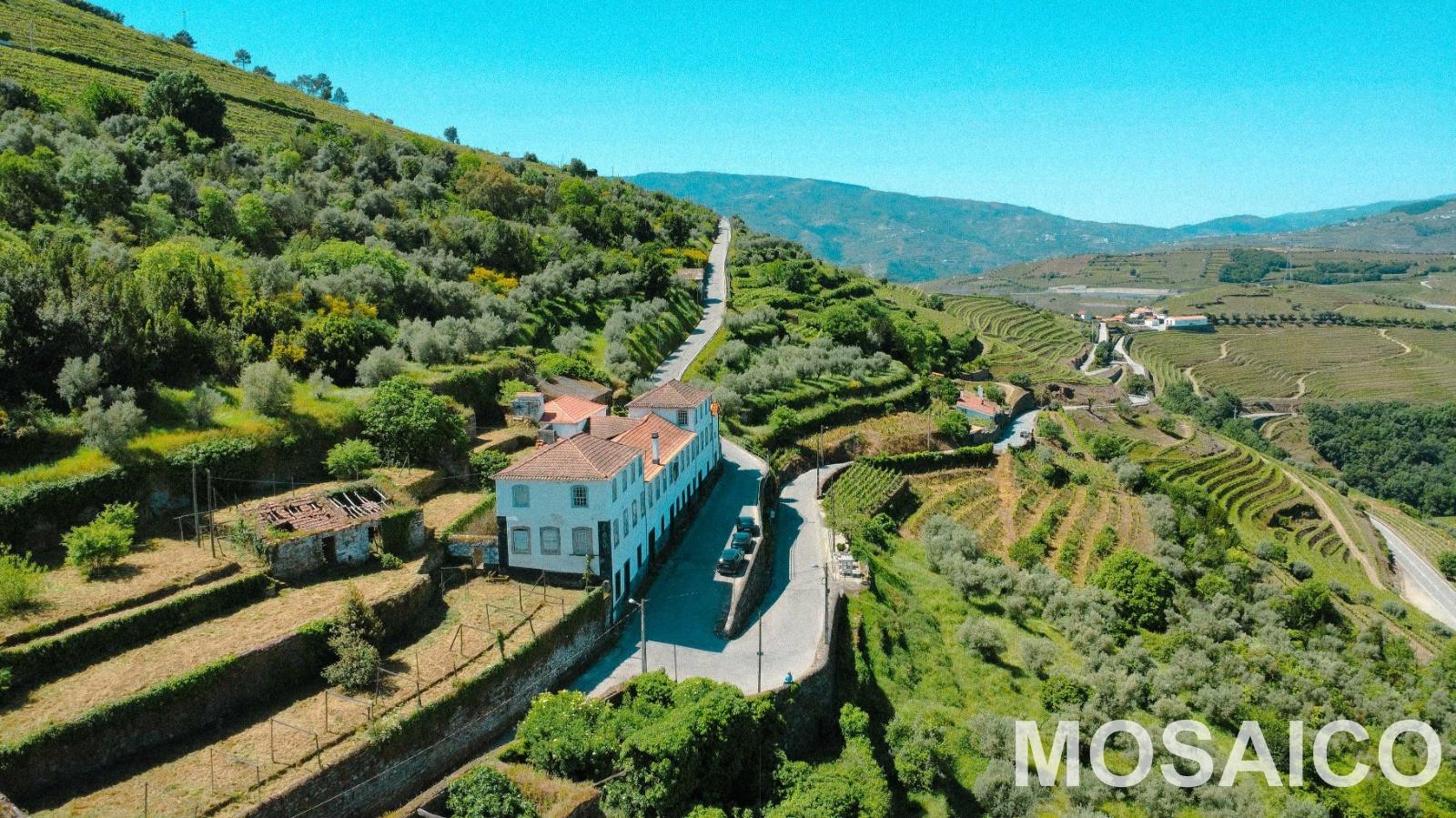 Propriedade de 3ha Casa Brasonada Século XVII em zona património mundial UNESCO, para VENDA