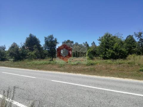 Terreno Rústico  Venda em Sabugal e Aldeia de Santo António,Sabugal