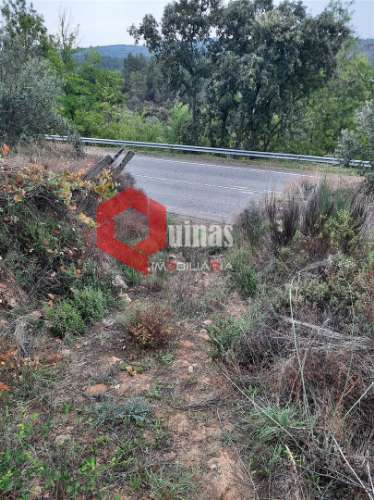 Terreno com 11.000,m2 para VENDA em Santo Estevão, Sabugal