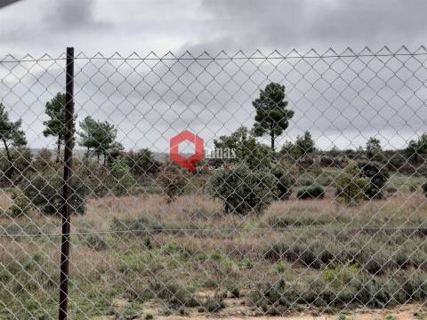 Terreno rústico para construção com 19819m2