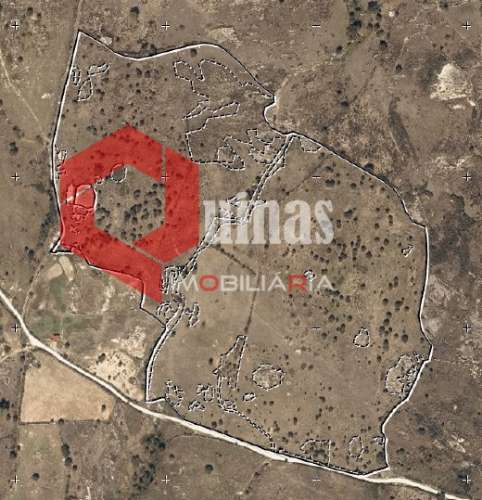 Terreno agricola com 19ha, Malpartida, Almeida