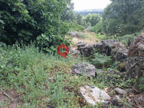 Quinta de 10580m2 para remodelar em Sortelha, Sabugal