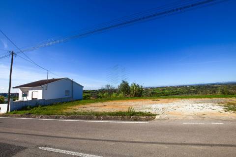 Terreno para construção Moradia em Alcorochel - Torres Novas