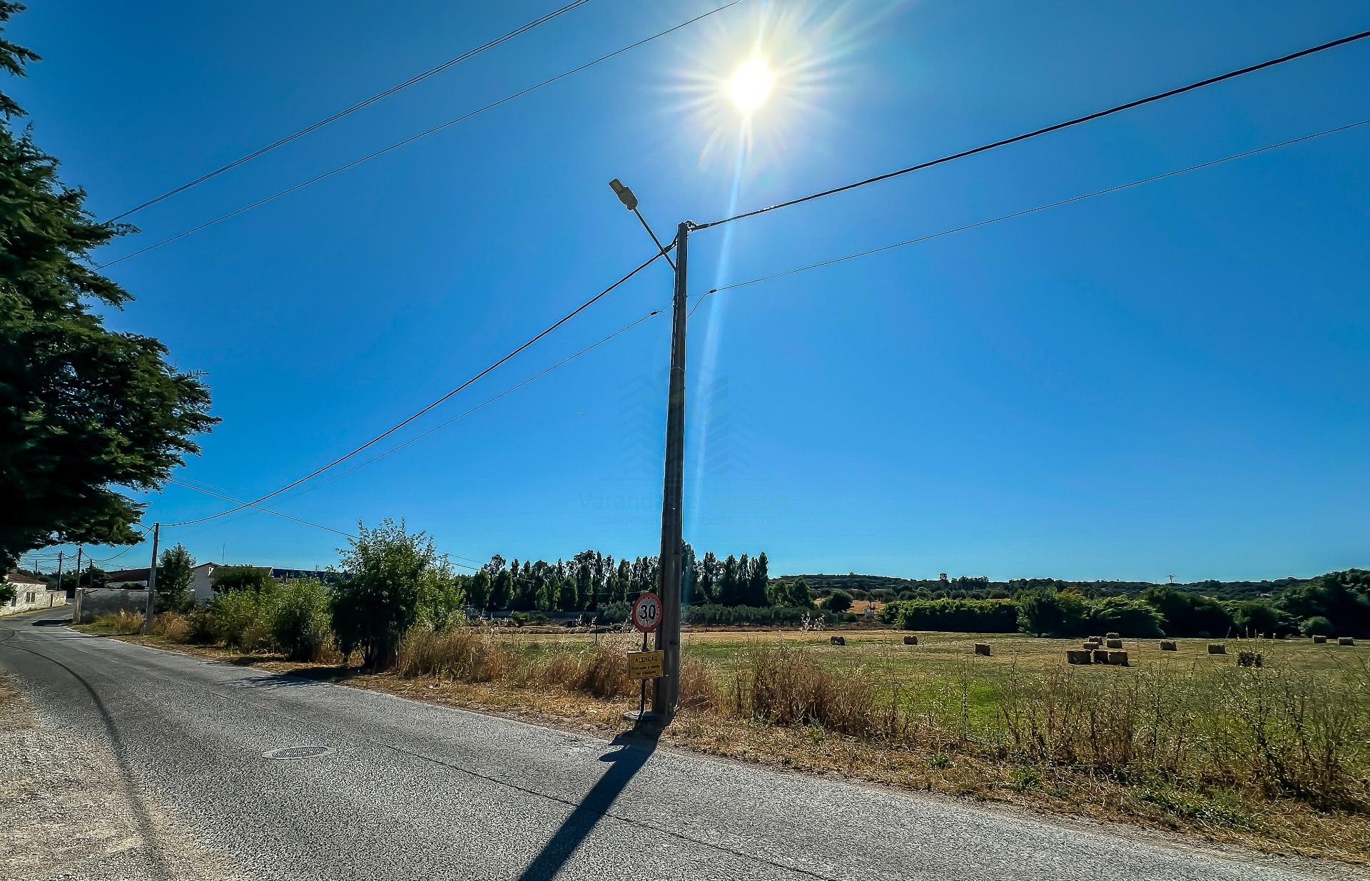 Terreno com 19.640 m² em Alcanena – Oportunidade!