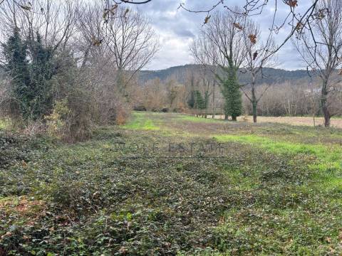 Terreno Rústico  Venda em Celeirós, Aveleda e Vimieiro,Braga