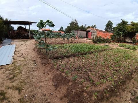 Terreno Urbano/Ruina c/água e luz/ 400m2 de terreno em Camarnal,Oliveira do Bairro.