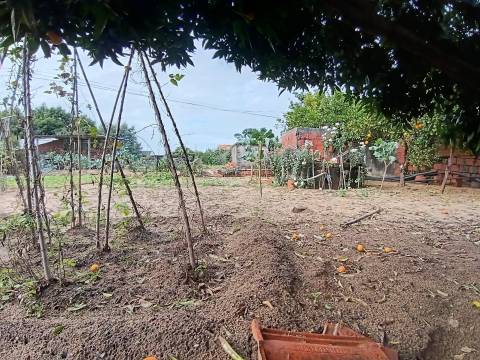 Terreno Urbano/Ruina c/água e luz/ 400m2 de terreno em Camarnal,Oliveira do Bairro.