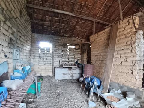 Terreno Urbano/Ruina c/água e luz/ 400m2 de terreno em Camarnal,Oliveira do Bairro.