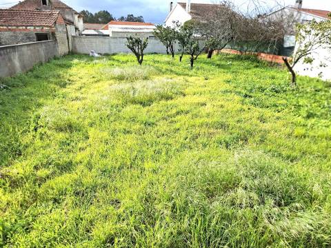 Quer construir uma moradia térrea e isolada em Vagos? Tem aqui o terreno ideal.