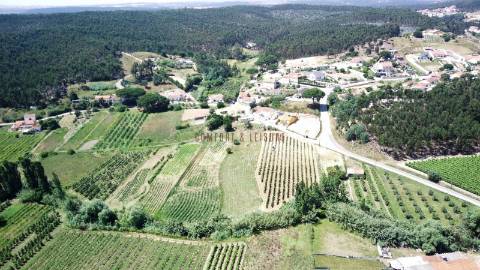 Terreno para construção localizado na Aldeia Grande, Maxial