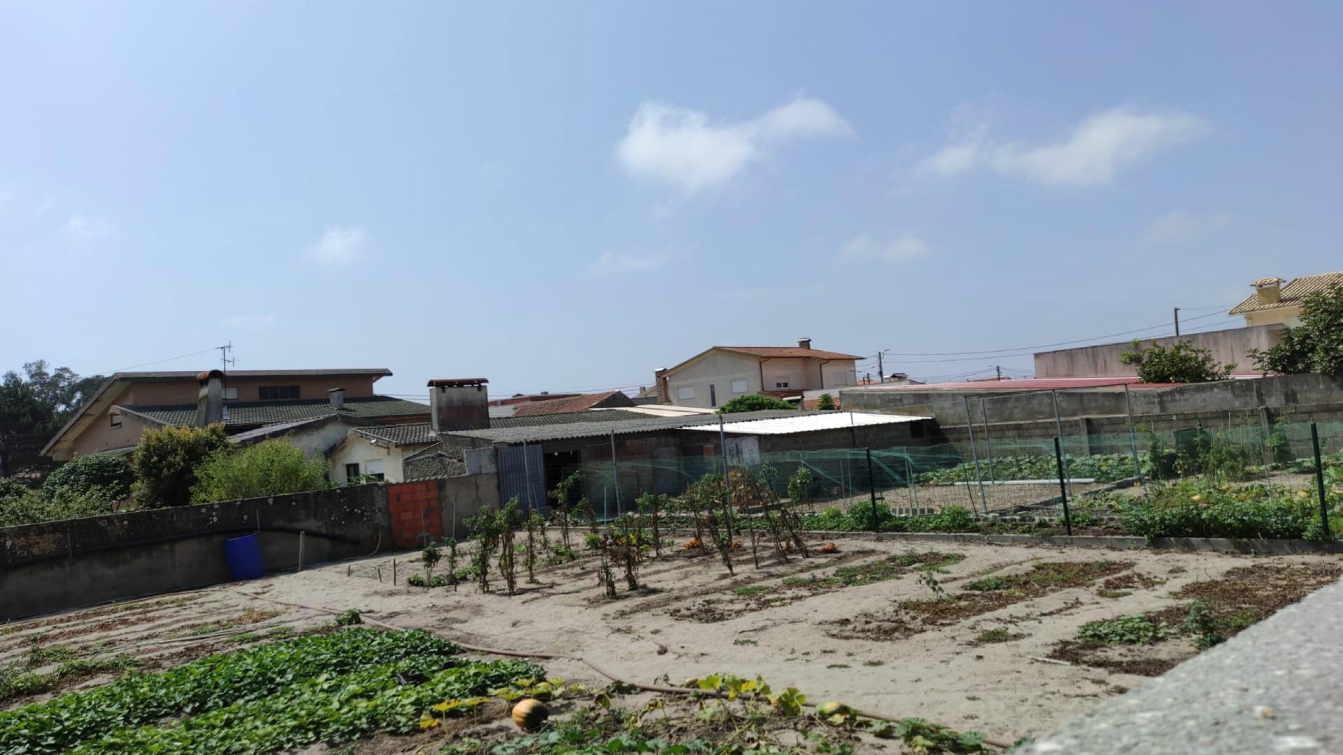 Terreno Gafanha da Nazaré com frente de 26 mts