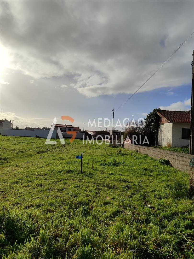 Terreno  Venda em Vagos e Santo António,Vagos