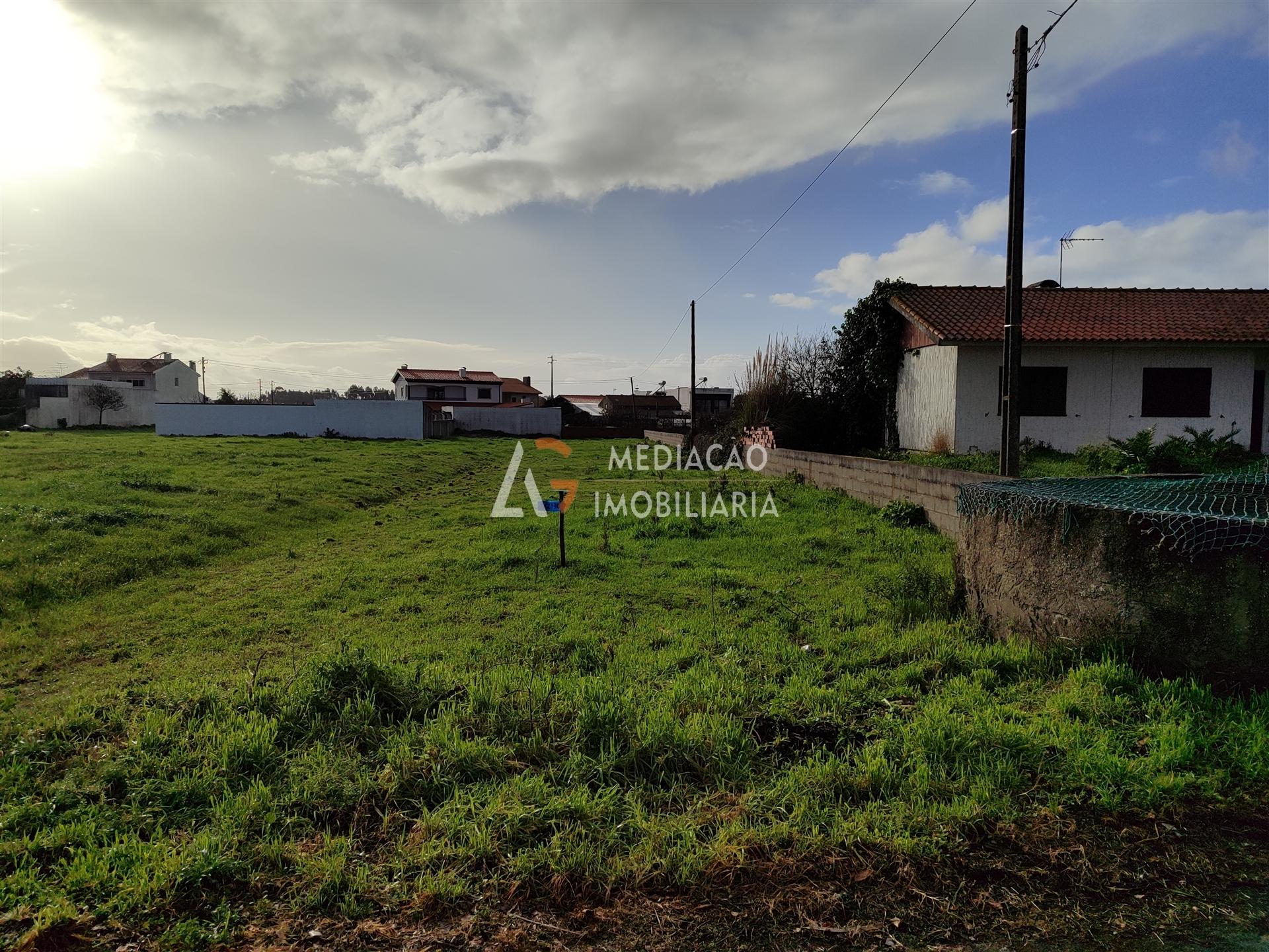 Terreno  Venda em Vagos e Santo António,Vagos
