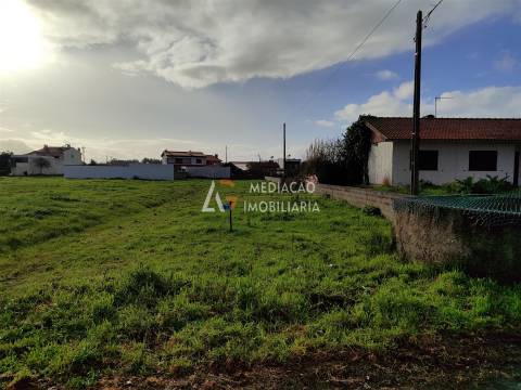 Terreno  Venda em Vagos e Santo António,Vagos