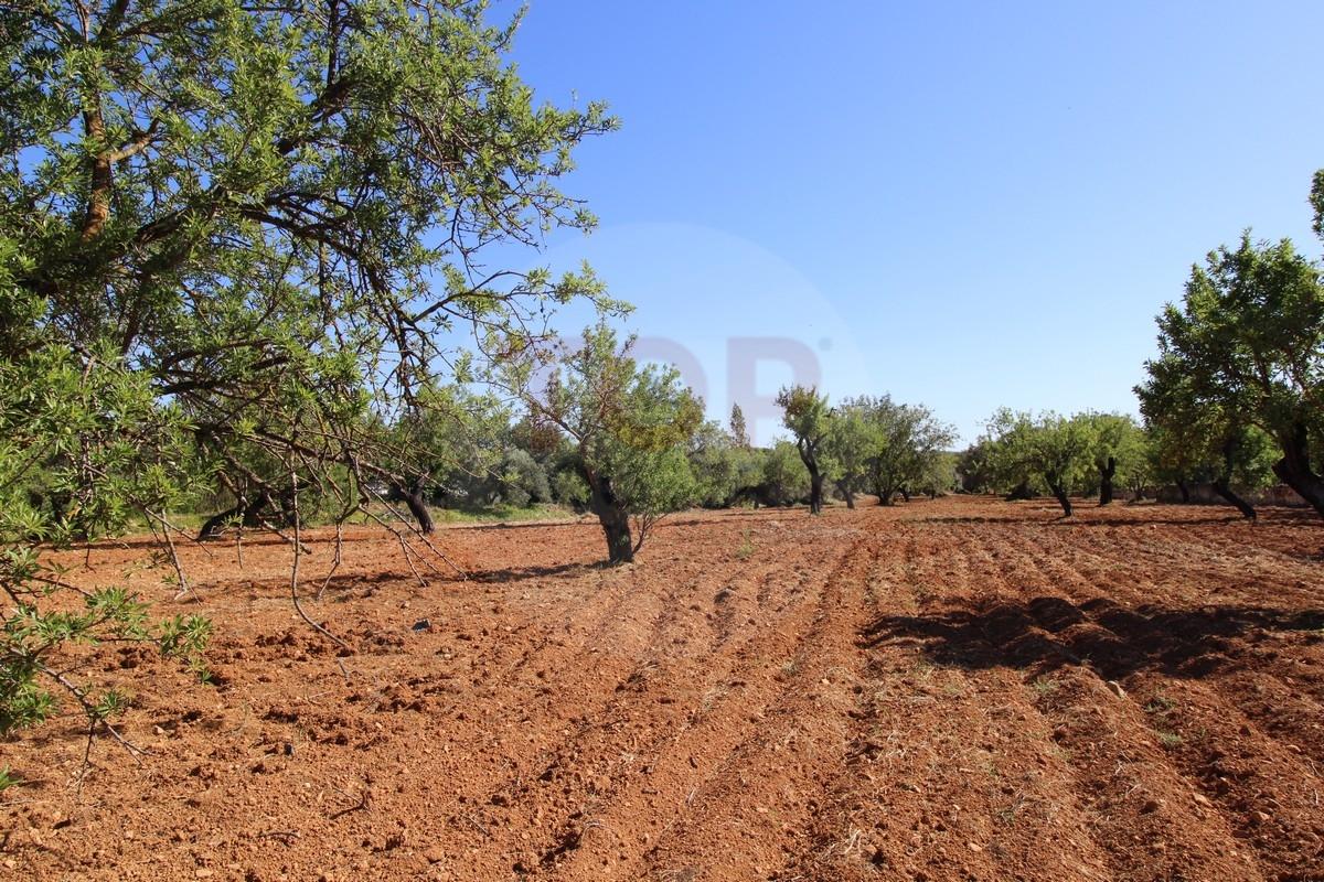 Terreno urbano destinado a construção de moradias unifamiliares