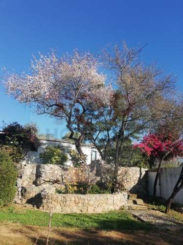 Moradia T5 isolada em Tavira
