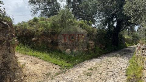 Terreno Rustico
