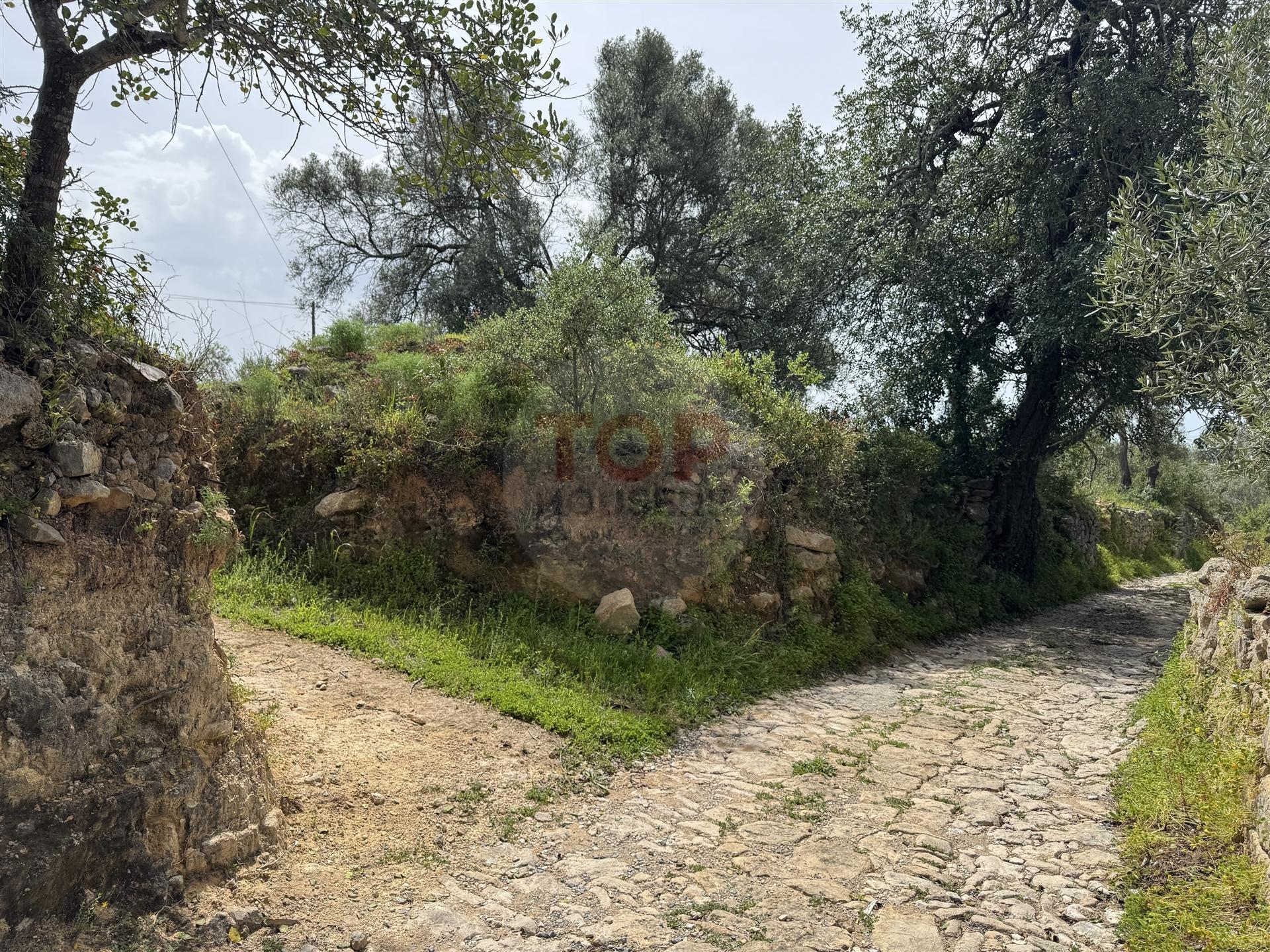 Terreno Rustico