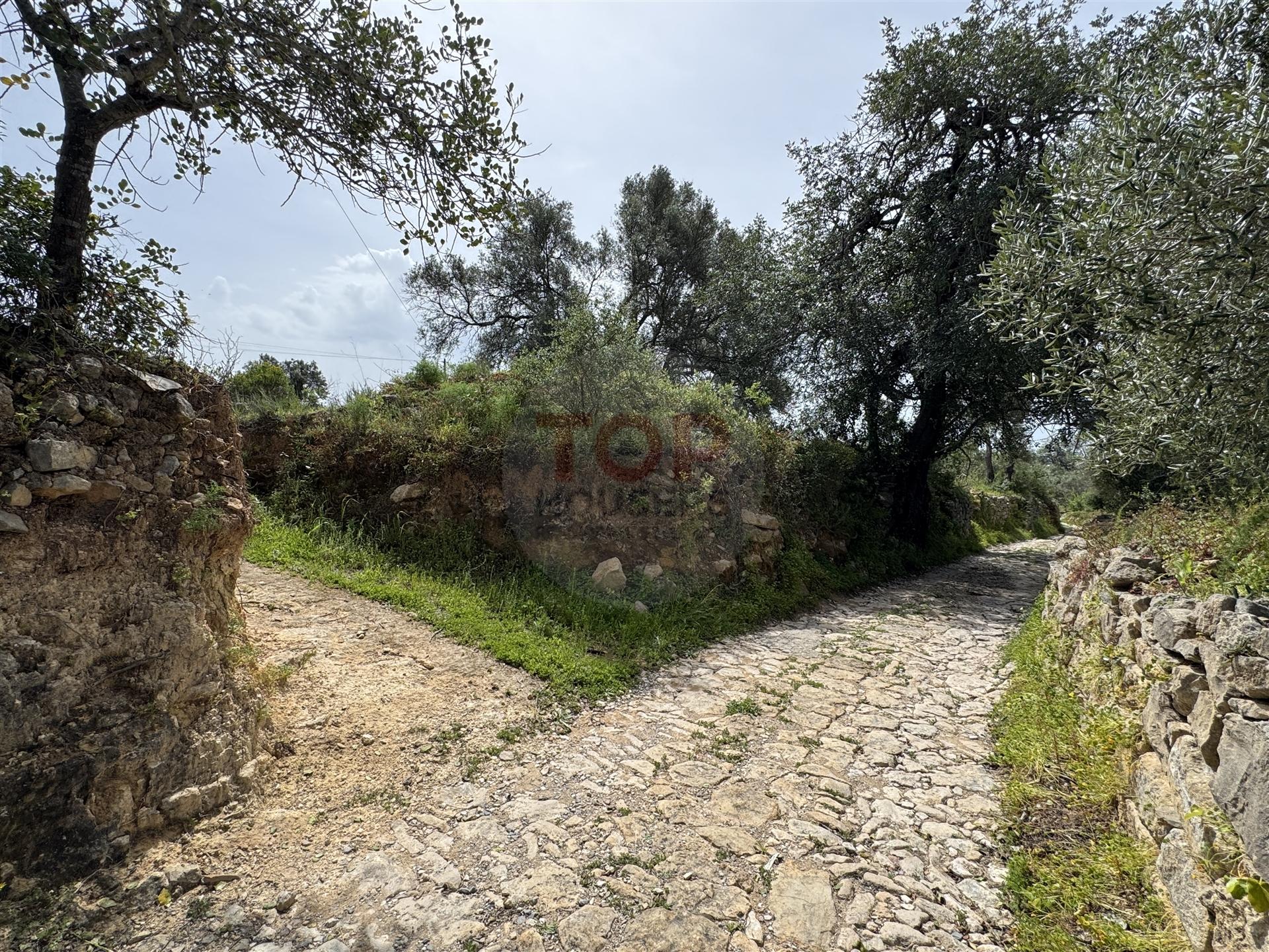 Terreno Rustico
