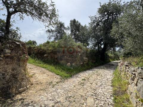 Terreno Rustico