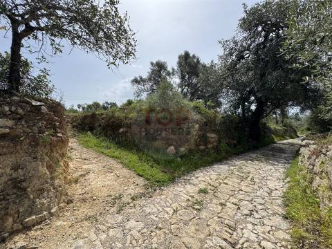 Terreno Rustico