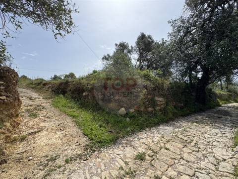 Terreno Rustico