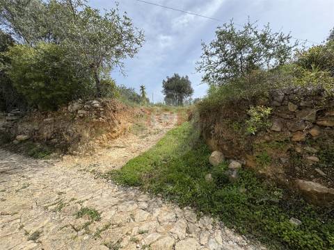 Terreno Rustico