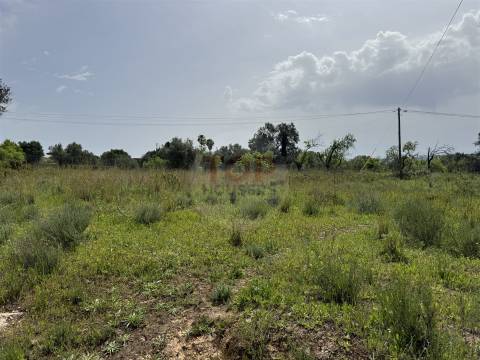 Terreno Rustico