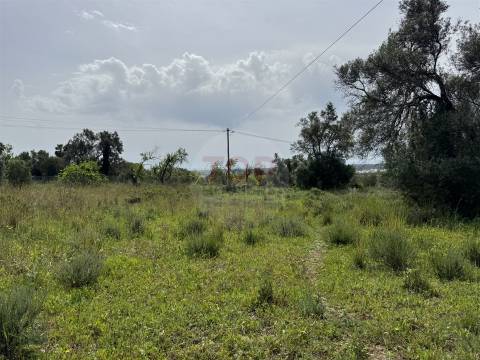 Terreno Rustico