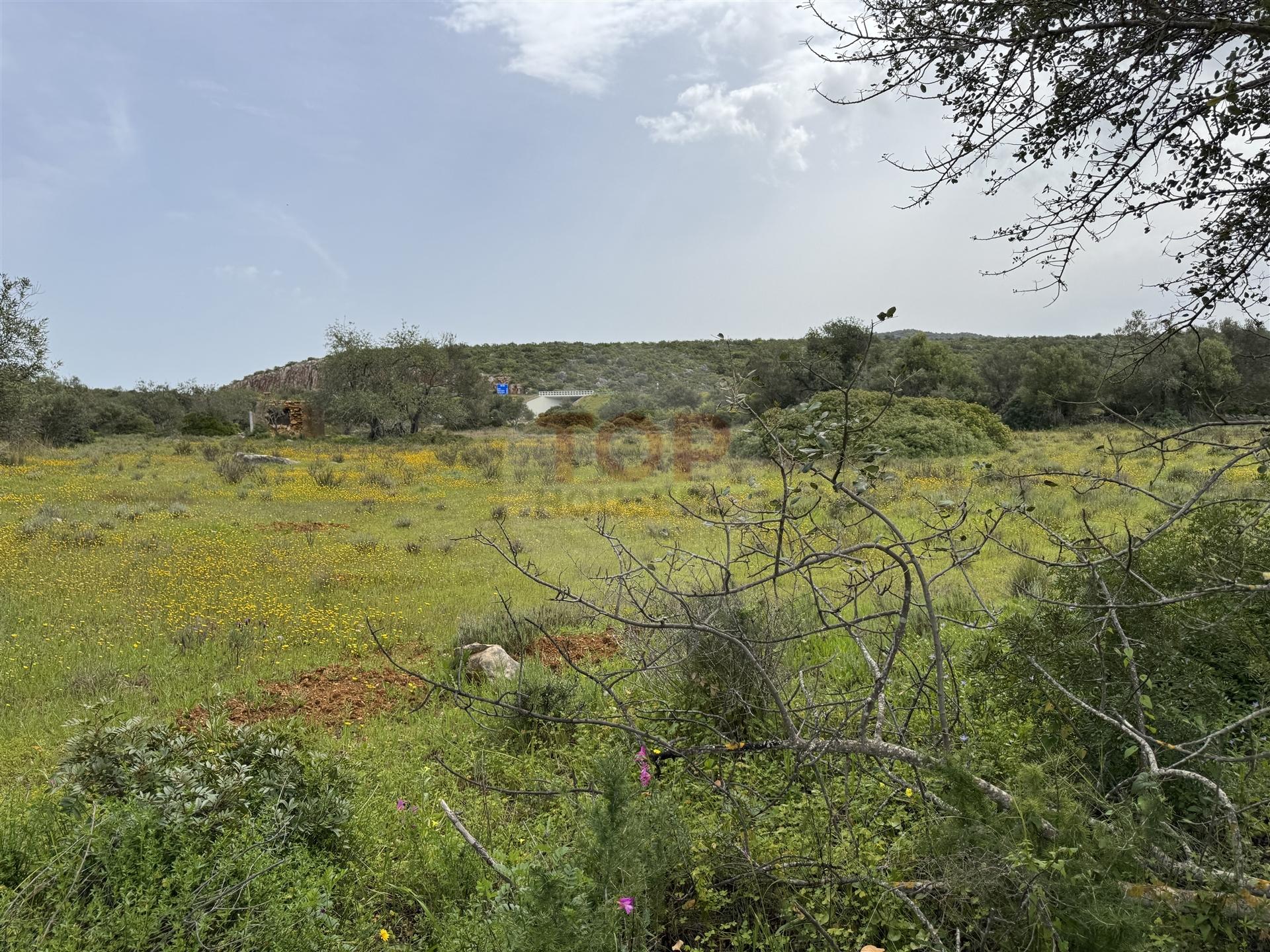Terreno Misto em Moncarapacho