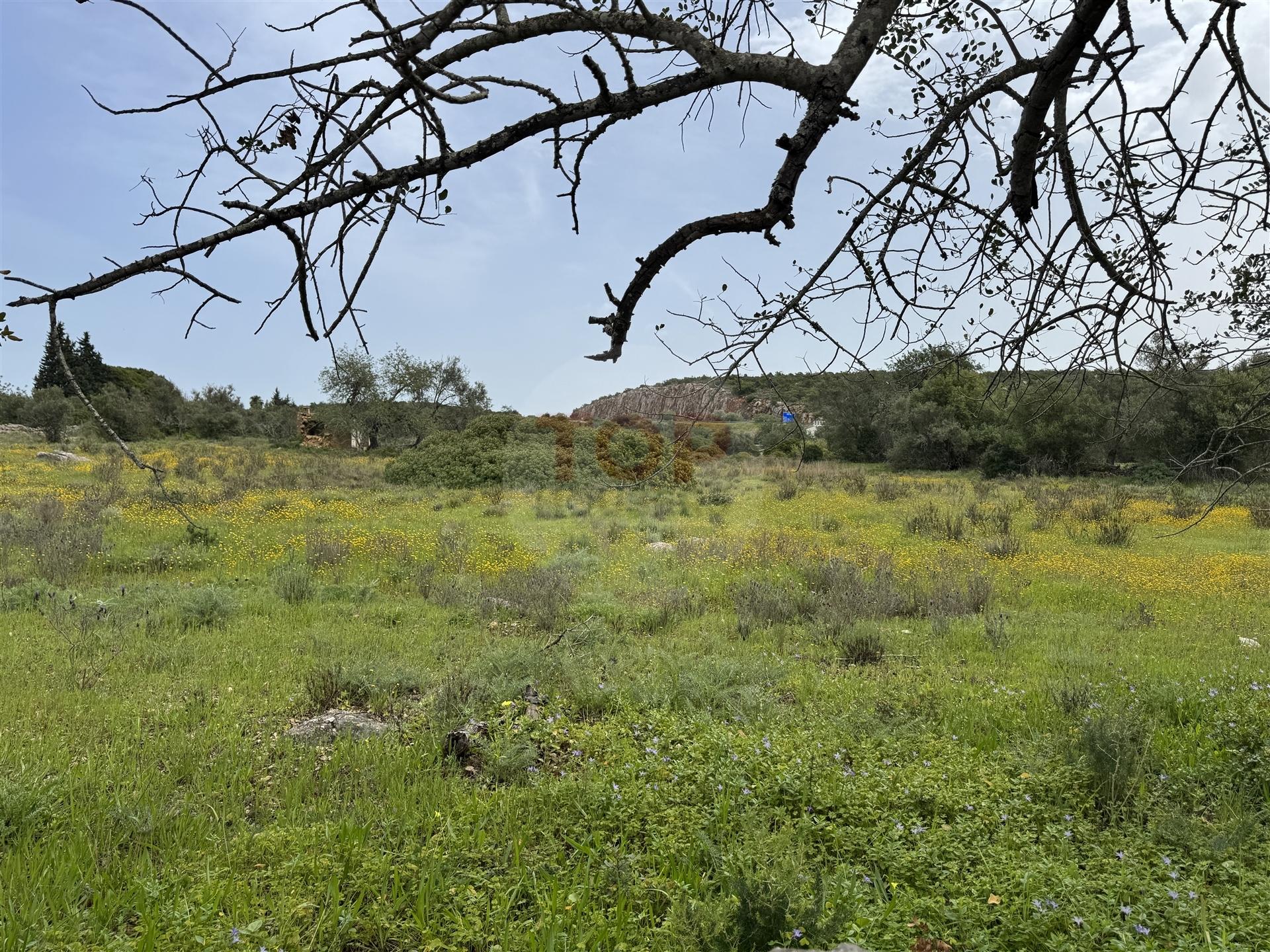 Terreno Misto em Moncarapacho